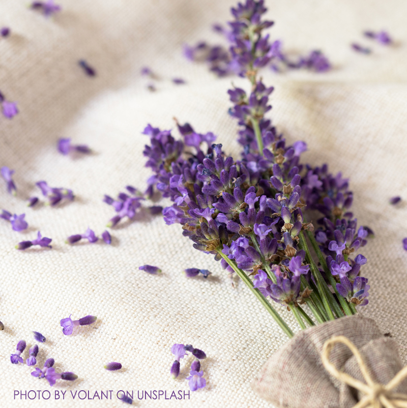 sacchetti di lavanda profumata