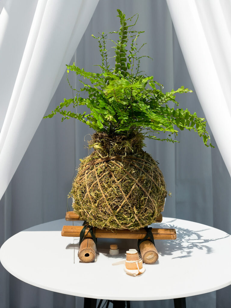 Centrotavola orinali per matrimonio, kokedama